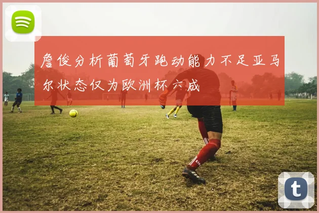 詹俊分析葡萄牙跑动能力不足亚马尔状态仅为欧洲杯六成